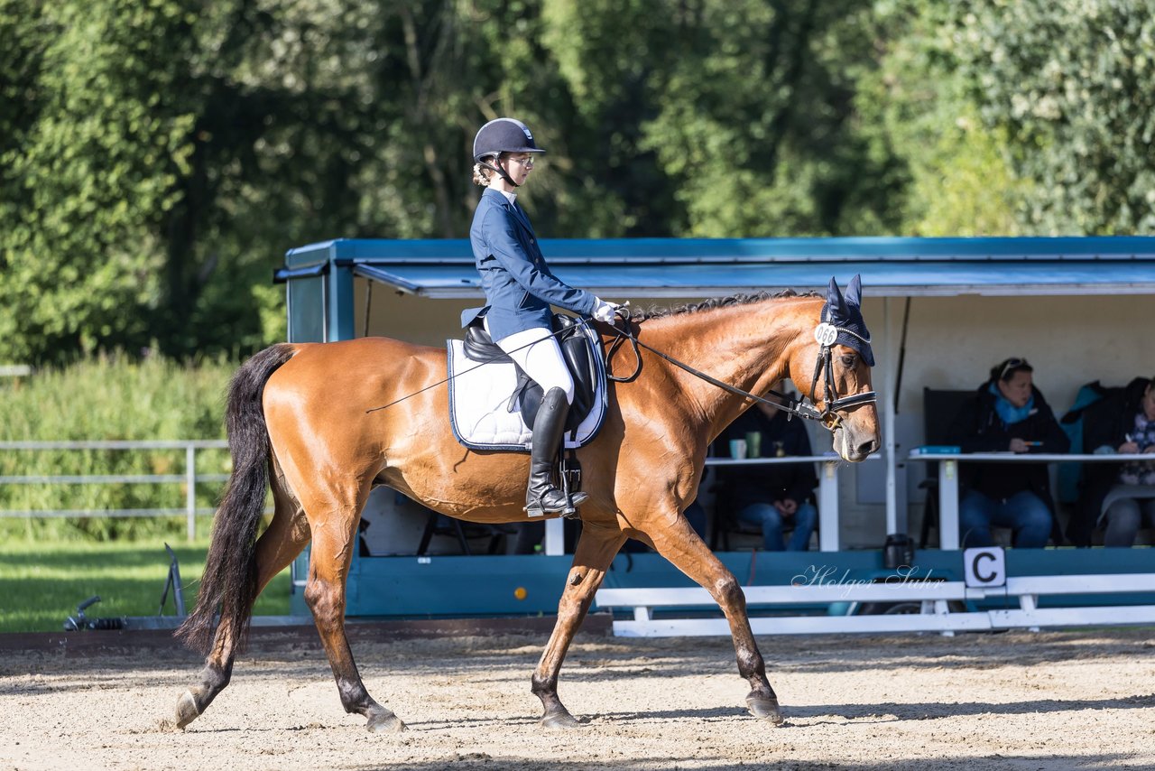 Bild 213 - Pony Akademie Turnier